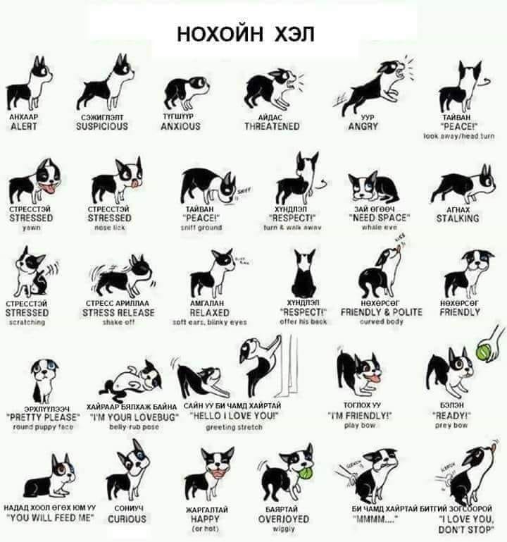 Гэрэл