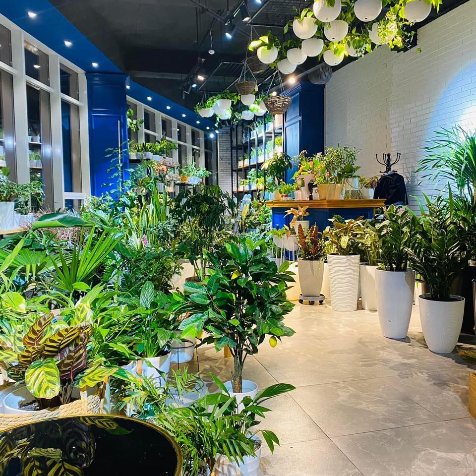 Green Paradise 